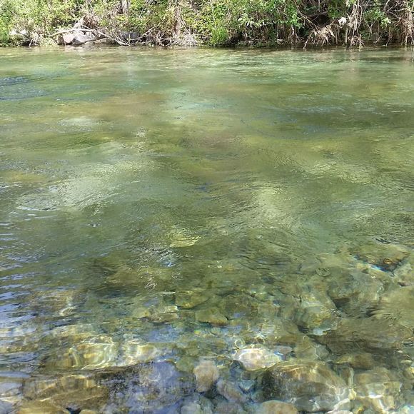 Meet your Posher, Steve - Picture 1 of 1